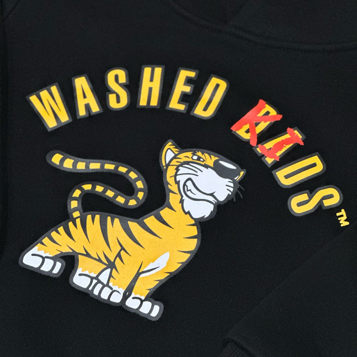 Washed Kids Hoodie