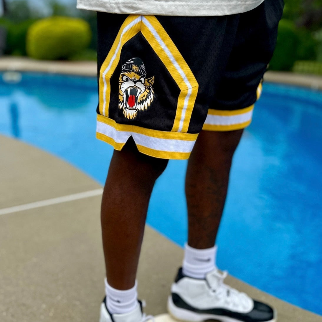 Retro Mesh Shorts